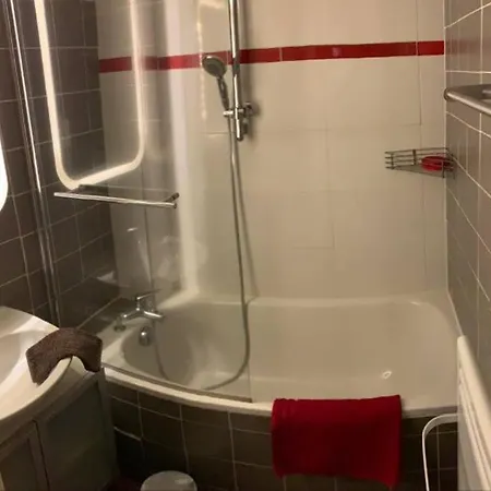 Le Rubis De Chanterive Dans Superbe Maison De Maitre * La Bourboule