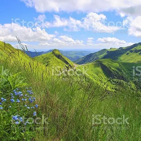 Le Rubis De Chanterive Dans Superbe Maison De Maitre *